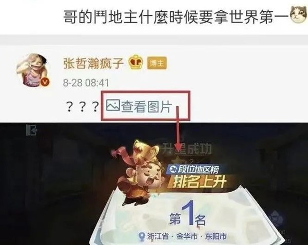 开始不务正业了？这些人怎么除了当明星还有这么多爱好？
