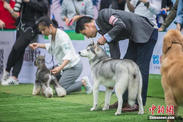阿维塔11明天正式上市：搭载华为智能汽车优游平台的解决方案