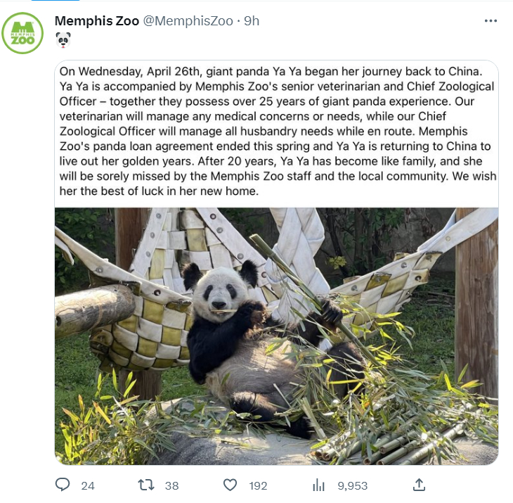 一年时间过去了 为何新能源车主还在经受全景天幕的煎熬？