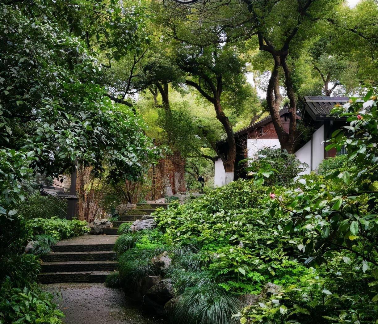 杭州河坊街旁，有个名人加持名山，喝茶遛弯中可享烟火气